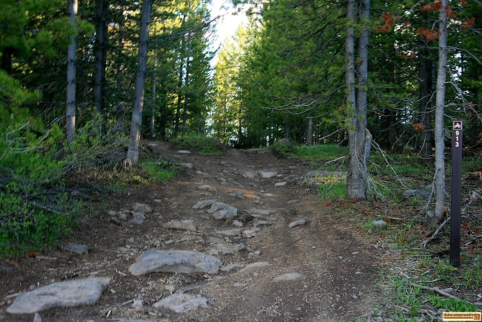 This the beginning of a trail at FS Flats Campground, there are many such trails in this area.