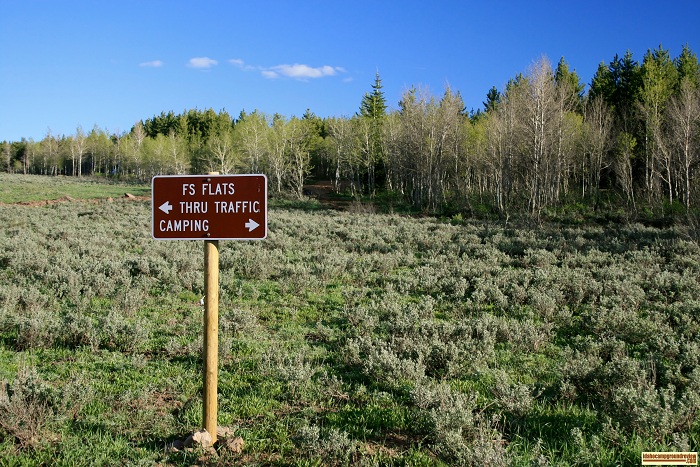 FS Flats Campground