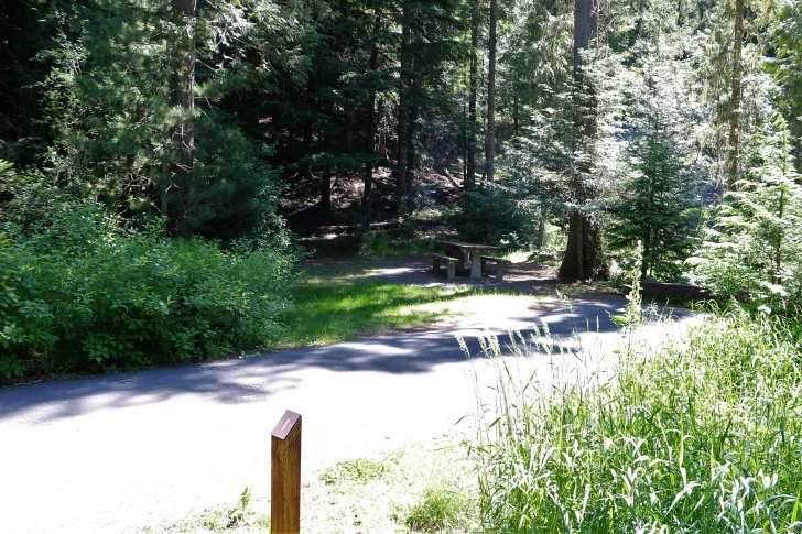 A picture of campsite number 1 in Giant White Pine Campground