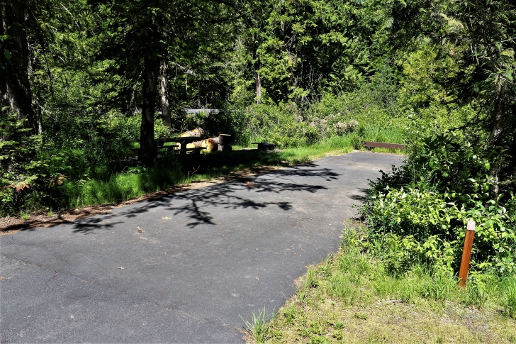 A picture of campsite number 4 in Giant White Pine Campground.