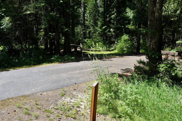 A picture of campsite number 10 in Giant White Pine Campground.