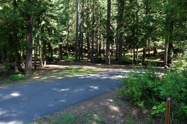 A picture of campsite number 14 in Giant White Pine Campground.