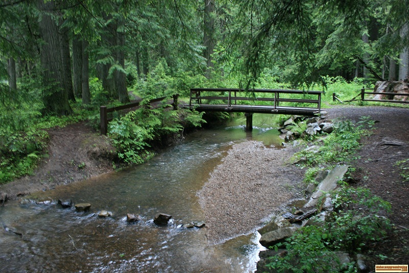 the creek at giant whitepine campground