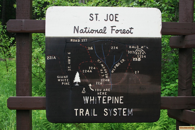 map of hiking trails in the area