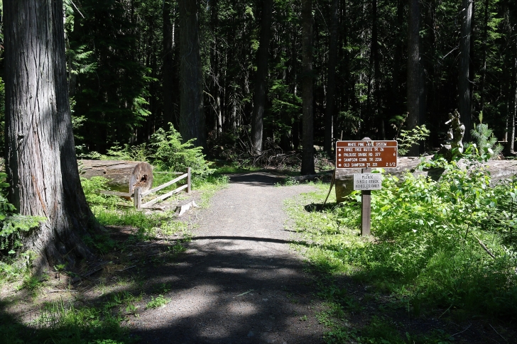 A picture of the main trailhead at Giant White Pine Campground.
