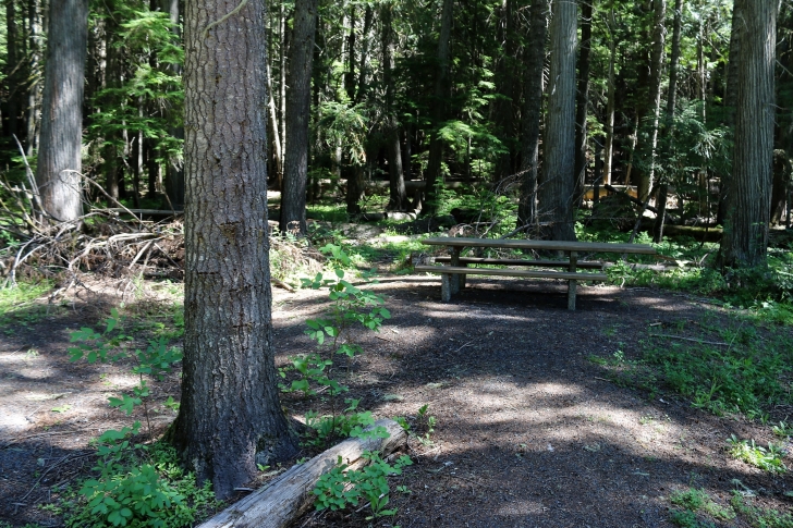 A picture of one of the picnic tables that are available near the giant white pine.