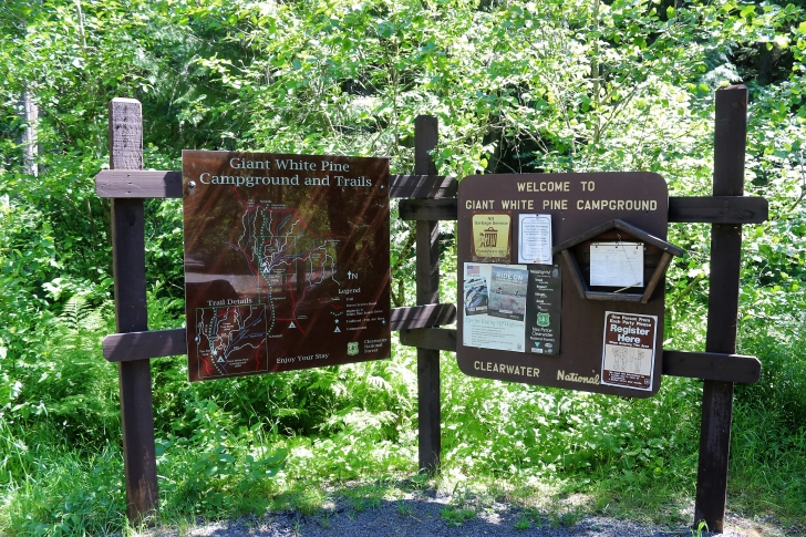 A picture of the "Welcome to White Pine Campground" sign.