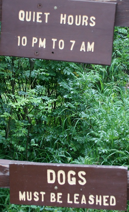 Grandview Campground near Lower Mesa Falls.