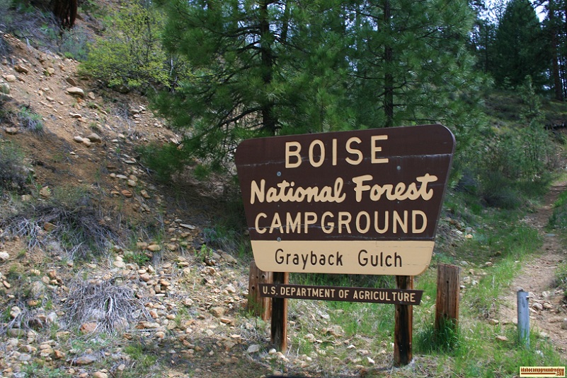 grayback gulch campground