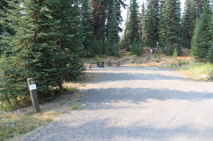 A guide to camping Grouse Campground on Goose Lake in Idaho