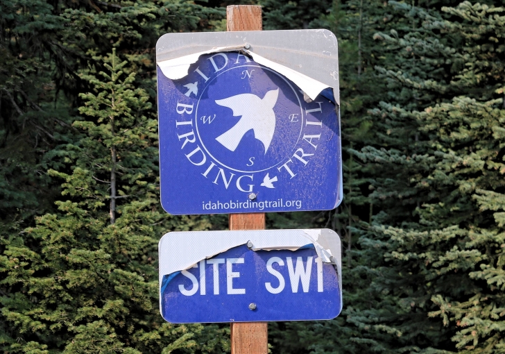 A guide to camping Grouse Campground on Goose Lake in Idaho