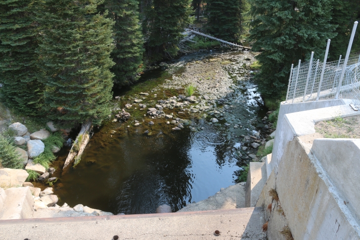 A guide to camping Grouse Campground on Goose Lake in Idaho