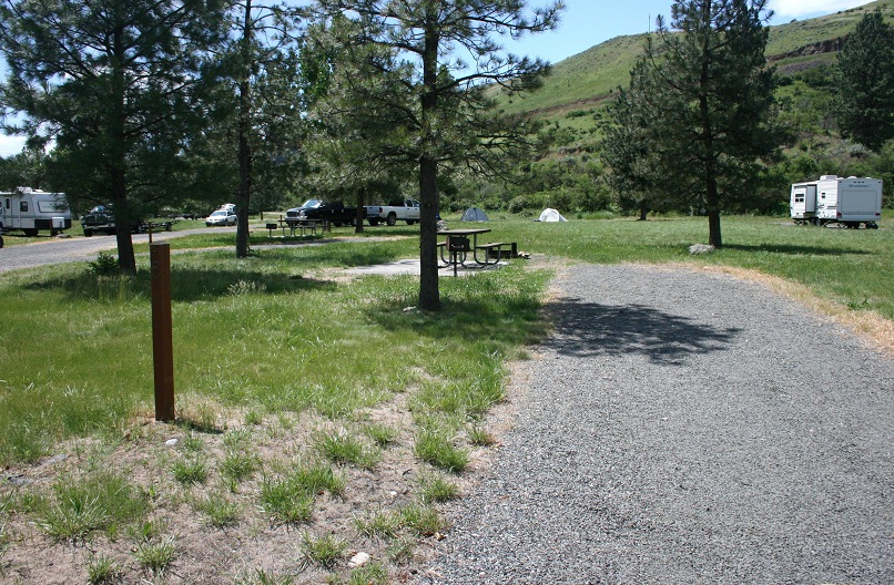 a camping site in hammer creek recreation site