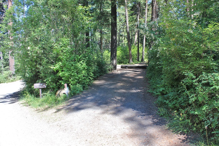 Hawleys Landing Campground - Campsites