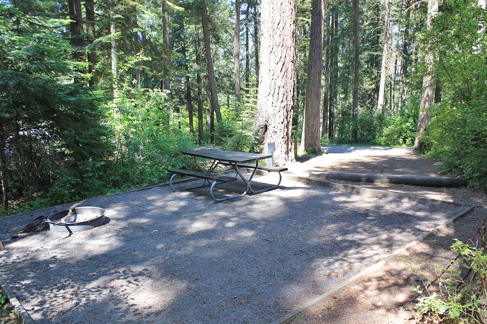 Hawleys Landing Campground - Campsites