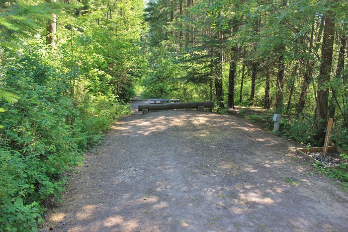 Hawleys Landing Campground - Campsites