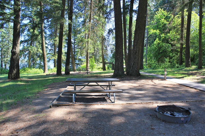Hawleys Landing Campground - Campsites