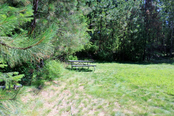 Hawleys Landing Campground - Recreation