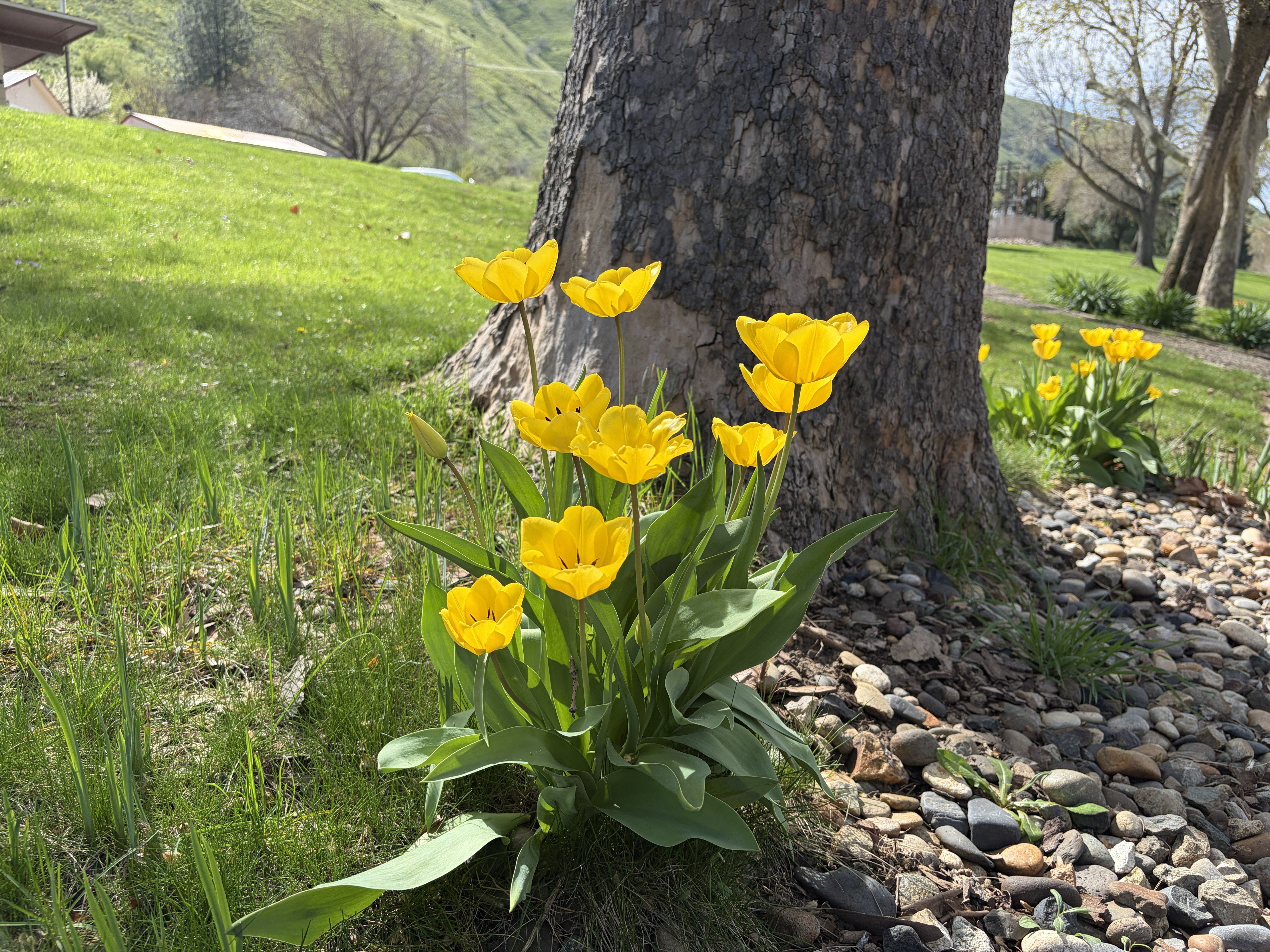 Hells Canyon Park Campsites