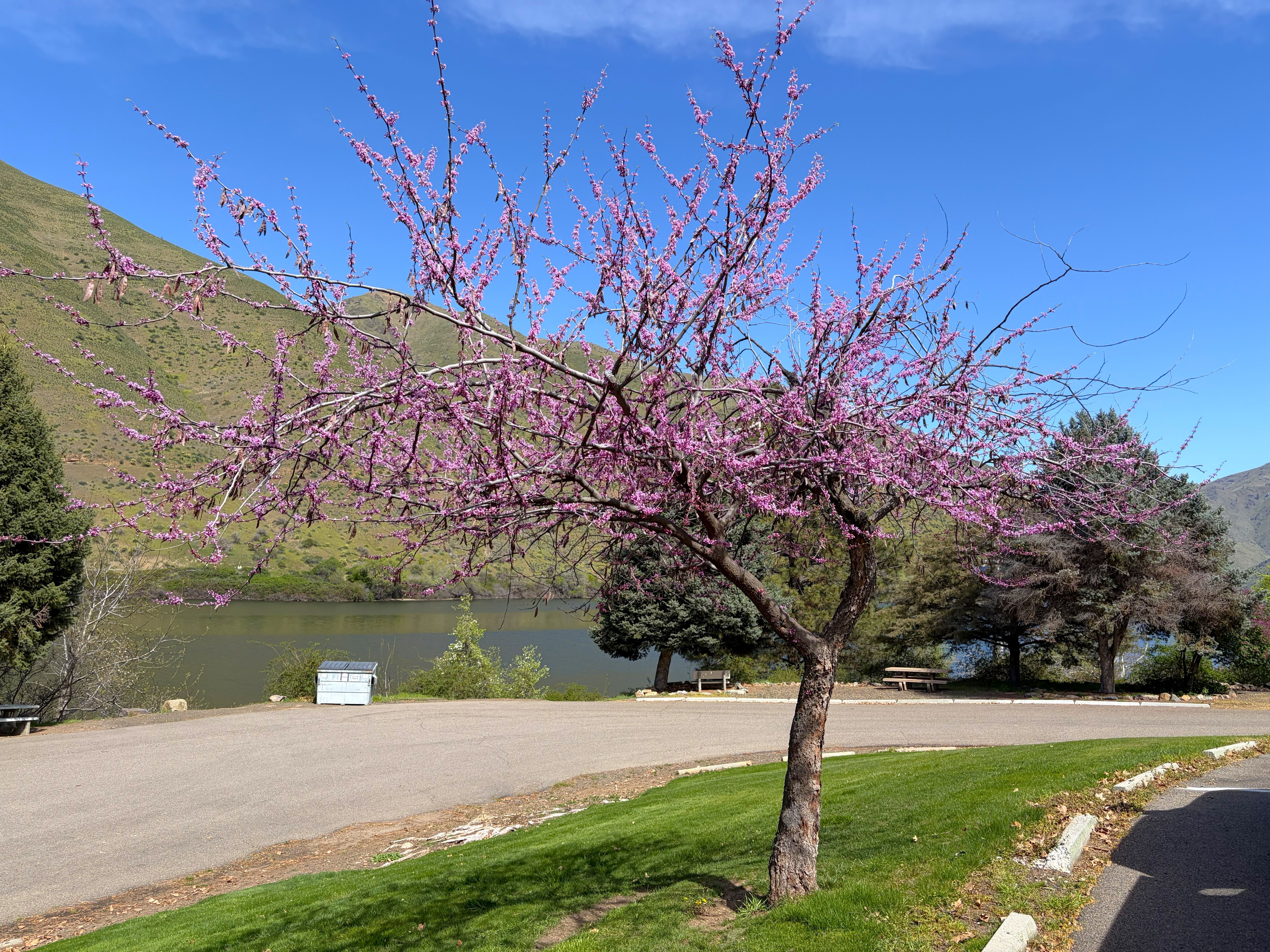Hells Canyon Park Facilities