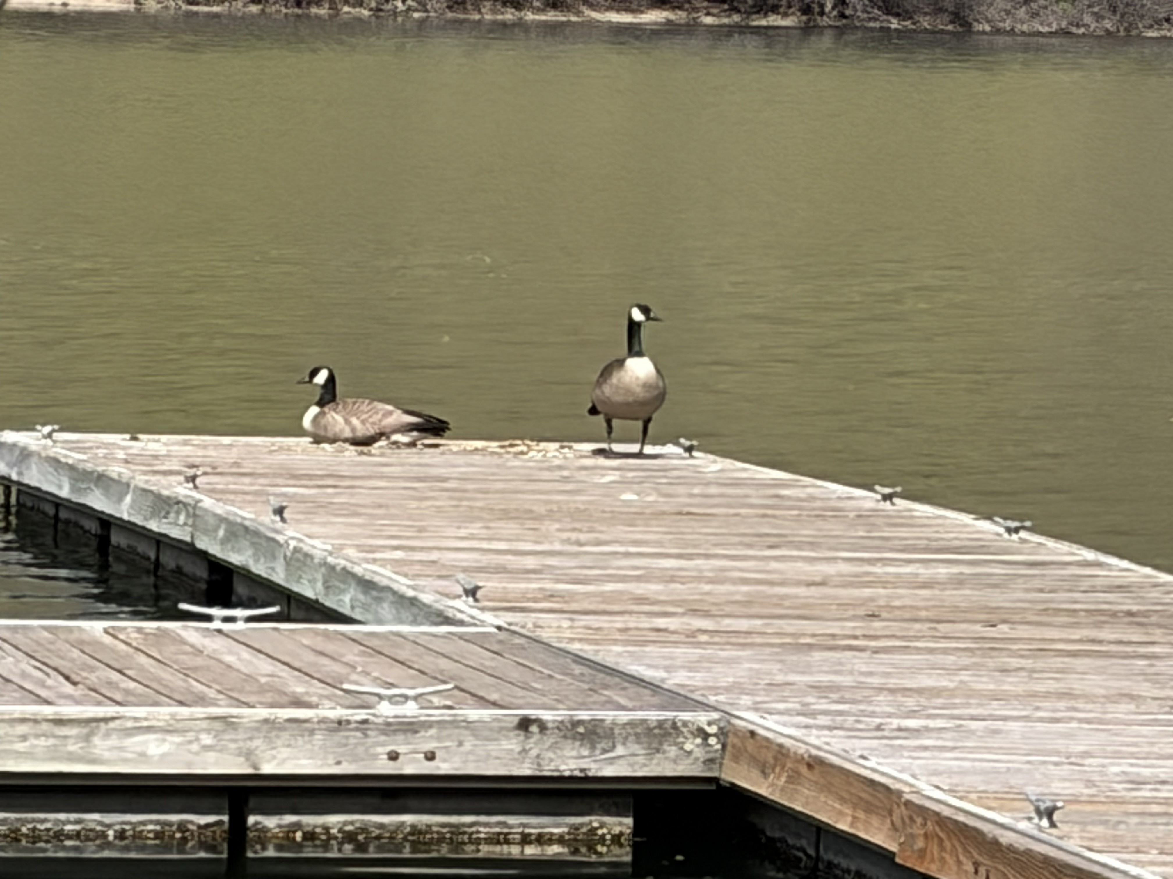 Hells Canyon Park Recreation