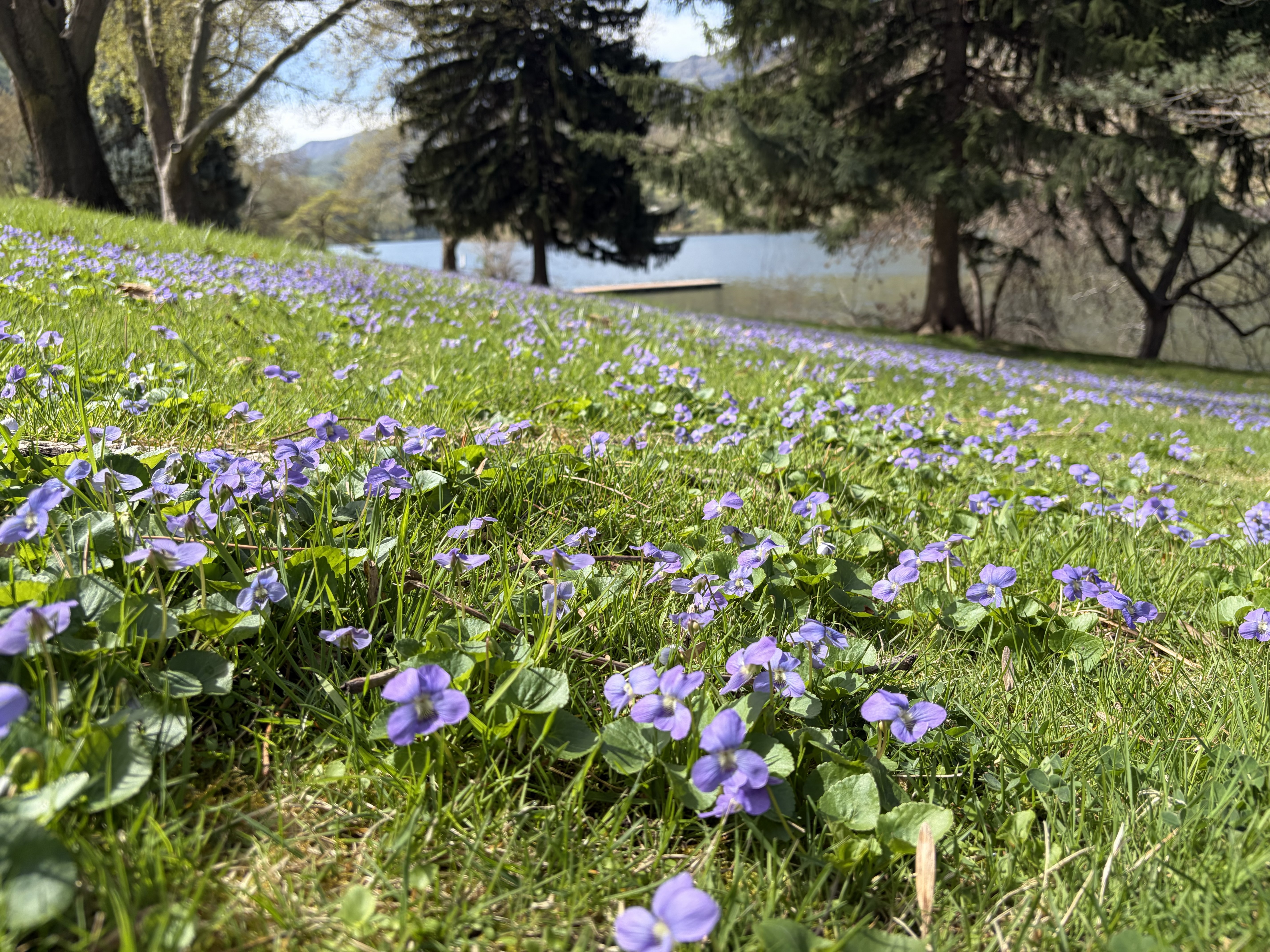Hells Canyon Park Signs & Info