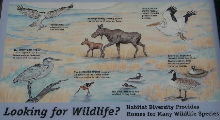 Henry's Lake State Park