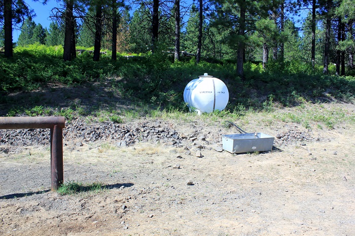 Water for your horses.