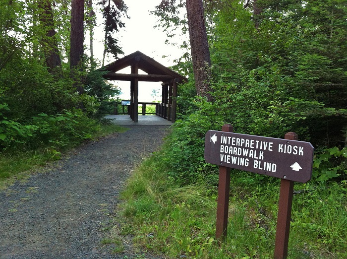 There is a small parking area, than as you enter the trail you will see this sign . To the left is the "Interpretive Kiosk and Boardwalk". To the right is a picnic area and marsh viewing blind. Check 