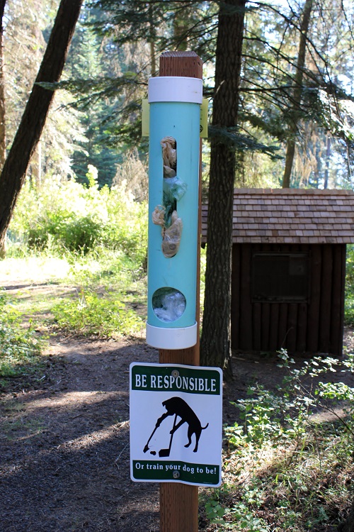 Your dog is allowed just be sure you clean up after him.