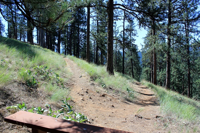 There is another bench on the way down too.