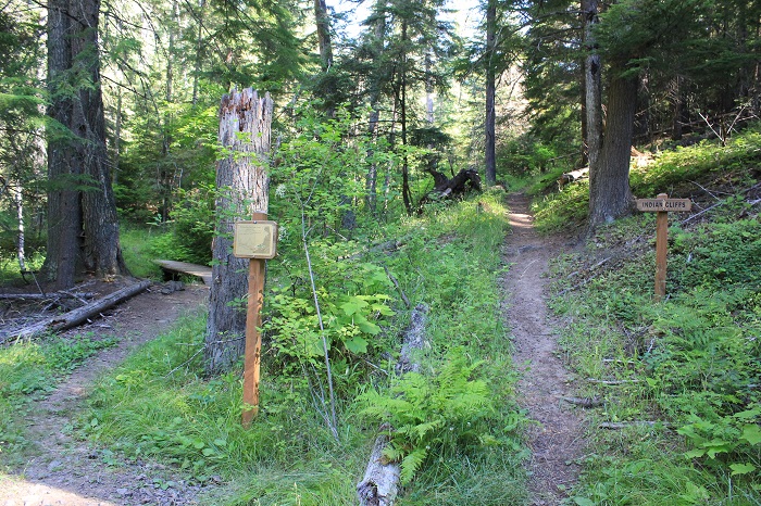 This is the split in the trail straight ahead leads to Indian Cliffs Trail while the left is the CCC Trail. When you finish Indian Cliffs you will come in from the left here also. One can take Indian 