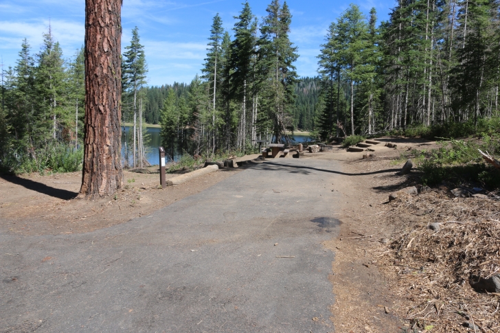 Camping at Hollywood Point Campground on Sagehen reservoir.