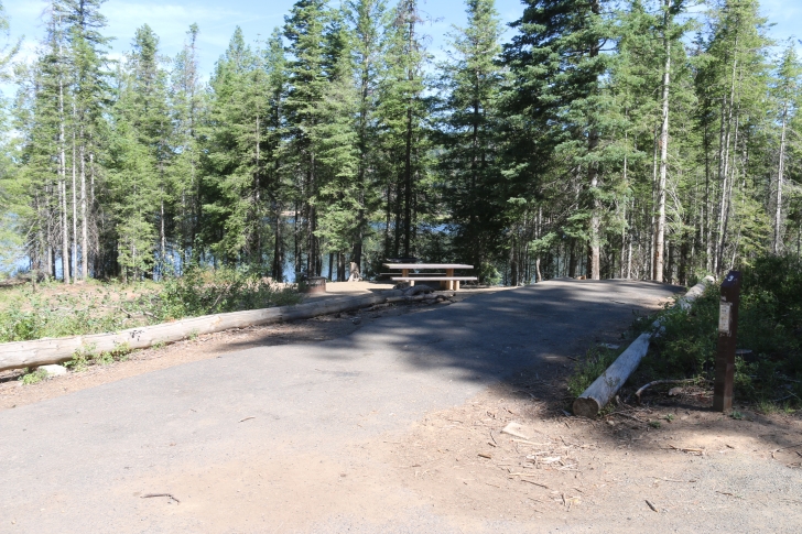 Camping at Hollywood Point Campground on Sagehen reservoir.