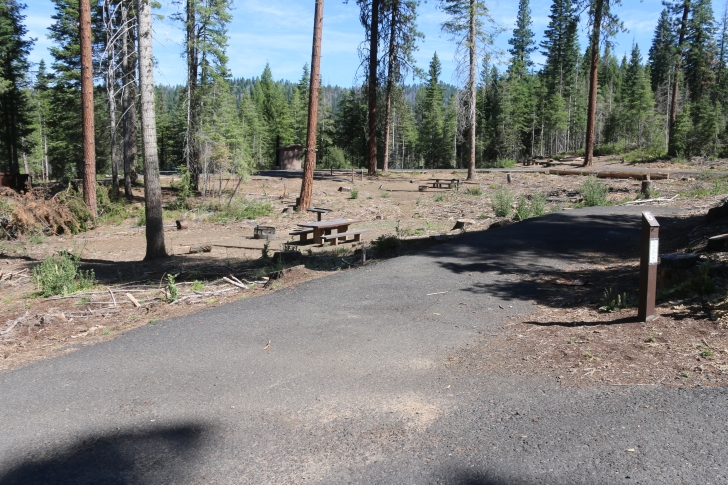 Camping at Hollywood Point Campground on Sagehen reservoir.