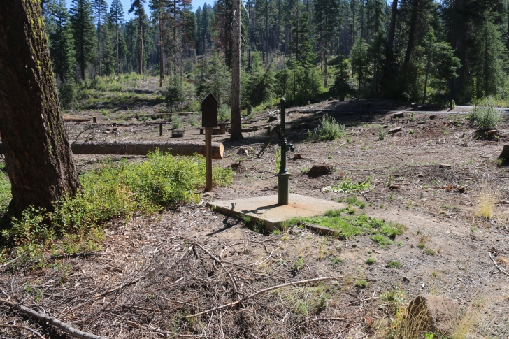 Camping at Hollywood Point Campground on Sagehen reservoir.