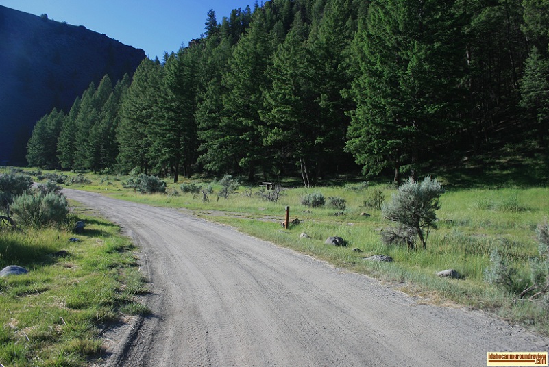 This view of Holman Creek Campground is from the entrance and shows the first 6 sites stretched along the foot of a hill.