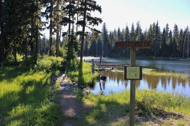 Camping in Washington's Horseshoe Lake Campground.