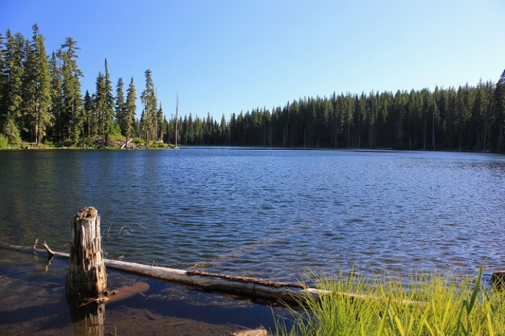 Camping in Washington's Horseshoe Lake Campground.