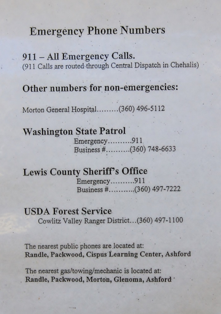 Camping in Washington's Horseshoe Lake Campground.