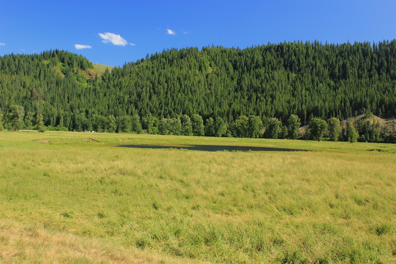 Huckleberry Campground on the St Joe River in northern Idaho.