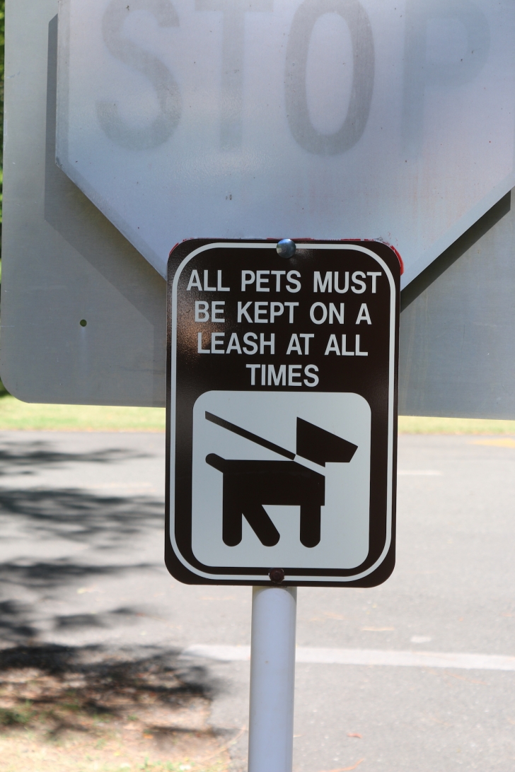 A picture of Indian Mary Park.