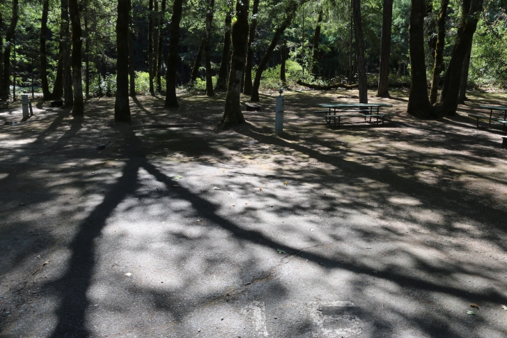 A picture of Indian Mary Park.