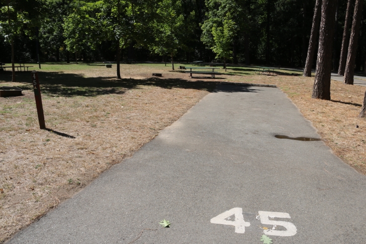 A picture of Indian Mary Park.