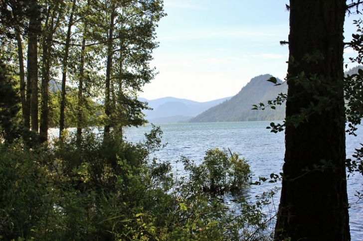 Camping in Washingtons Indian Creek Campground.