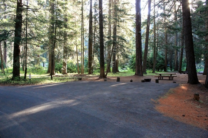 Camping in Washingtons Indian Creek Campground.