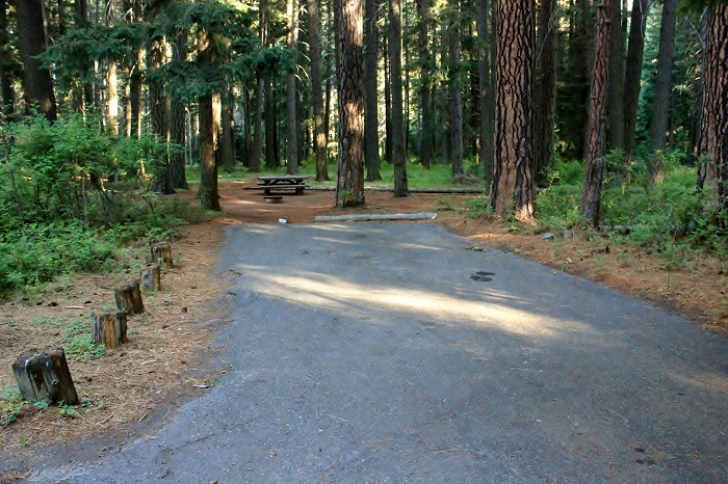 Camping in Washingtons Indian Creek Campground.
