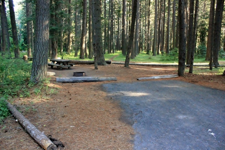 Camping in Washingtons Indian Creek Campground.