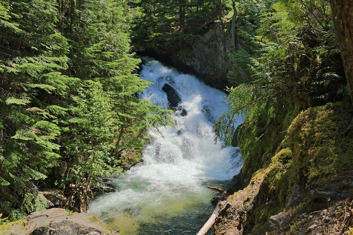 There are several waterfalls around Priest Lake. We only found this one on Hunt Creek.
