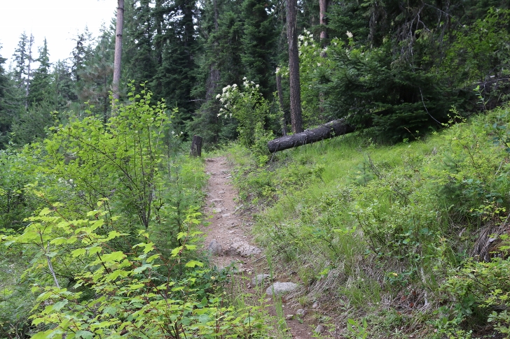 This is the trail as it climbs above the road.

